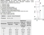 Колготки для беременных антиварикозные, Venoteks (Венотекс) р. XXL Classic 2C414 арт. 206 с закрытым носком 2 класс компрессии бежевые